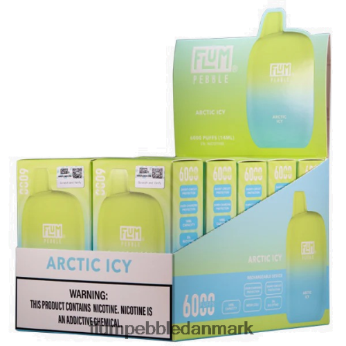 FLUM PEBBLES 6000 pust 10 pakker artisk iskold H2LZ6X6 Flum Pebbles Price