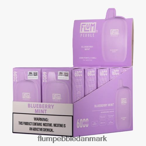 FLUM PEBBLES 6000 pust 10 pakker blåbær mynte H2LZ6X18 Flum Pebbles Flavors List