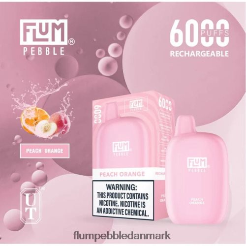 FLUM PEBBLES 6000 pust fersken iskolde H2LZ6X60 Flum Pebble Vape Near Me