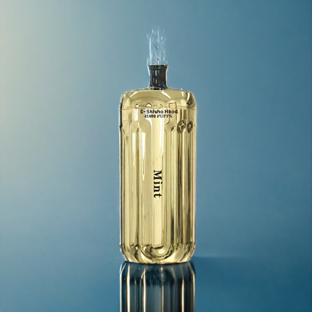 Bang E-Shisha Head 42000 Puffs Dansk Engros Engangs vape 30ml 1000mAh Type-C Mynte