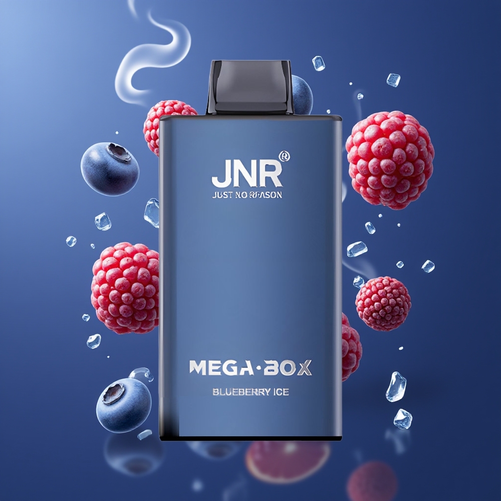 JNR Mega Box 25000 Puffs Disposable Vape Blåbær Is med 30ml E-væske og Type-C Hurtigopladning – Dansk engros