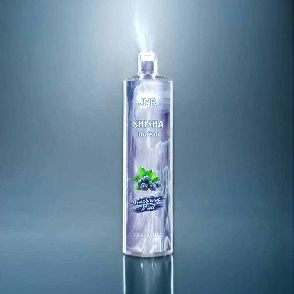 JNR Shisha Hookah 12000 Puffs Dansk engros med 750mAh batteri og 24ml e-væske - Blåbær Mynte